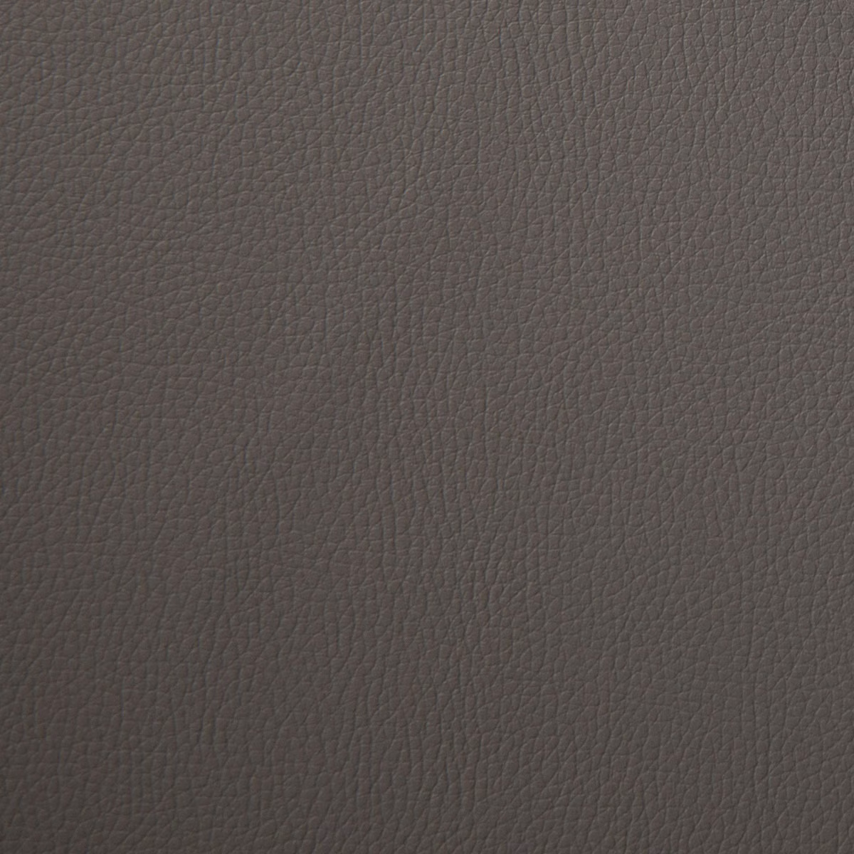 Kielder Swamp fabric