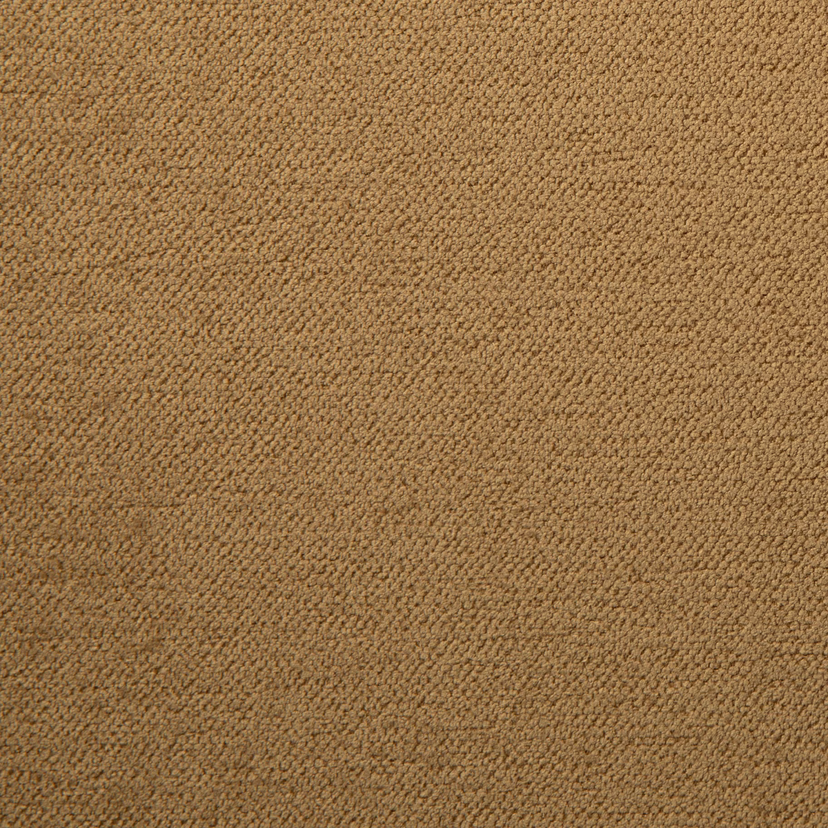 Lullaby Armadillo fabric