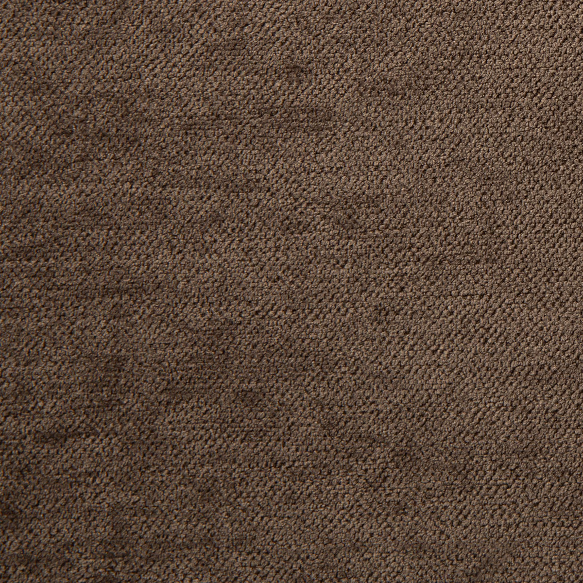 Lullaby Bobcat fabric