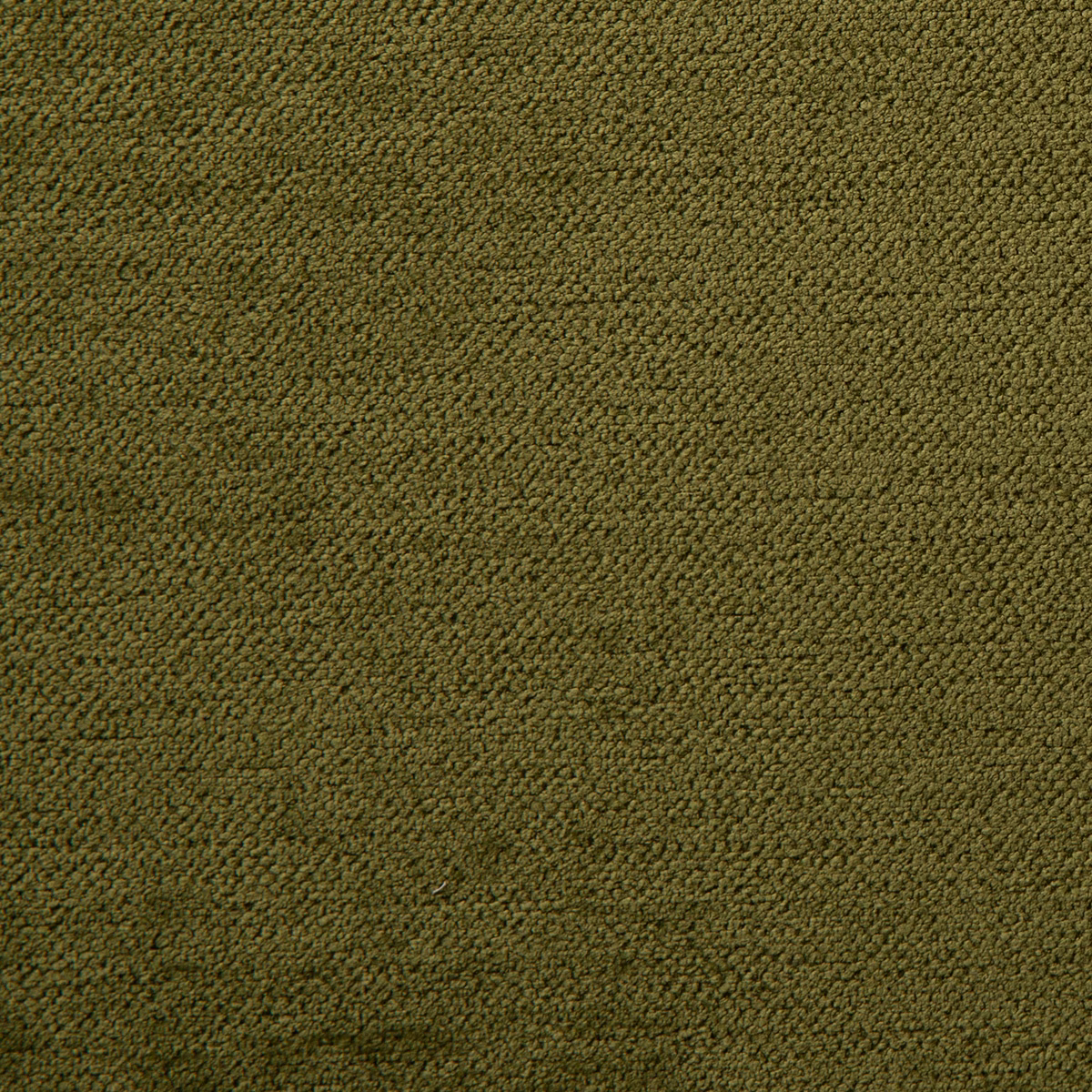 Lullaby Turaco fabric