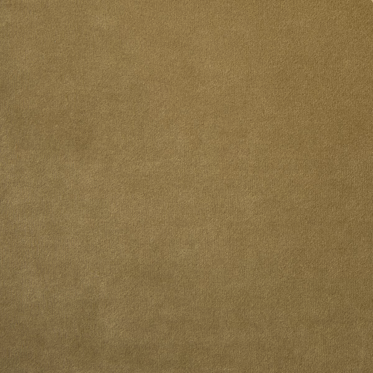 Madison Anole fabric