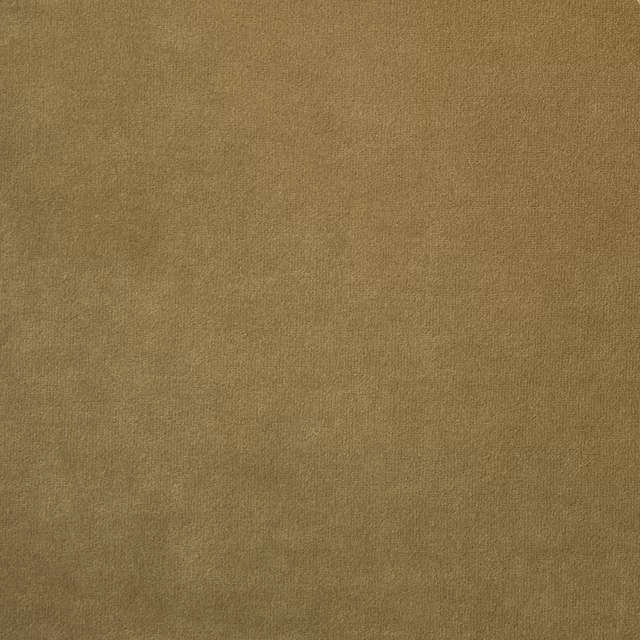 Madison Anole fabric