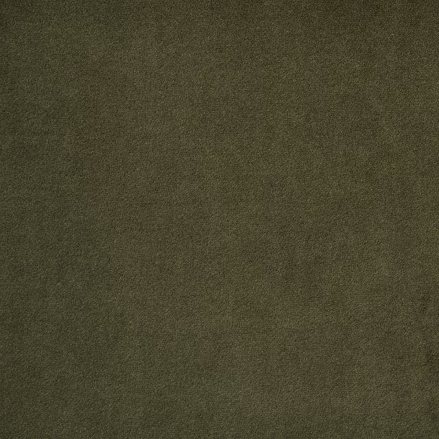 Madison Lichen fabric