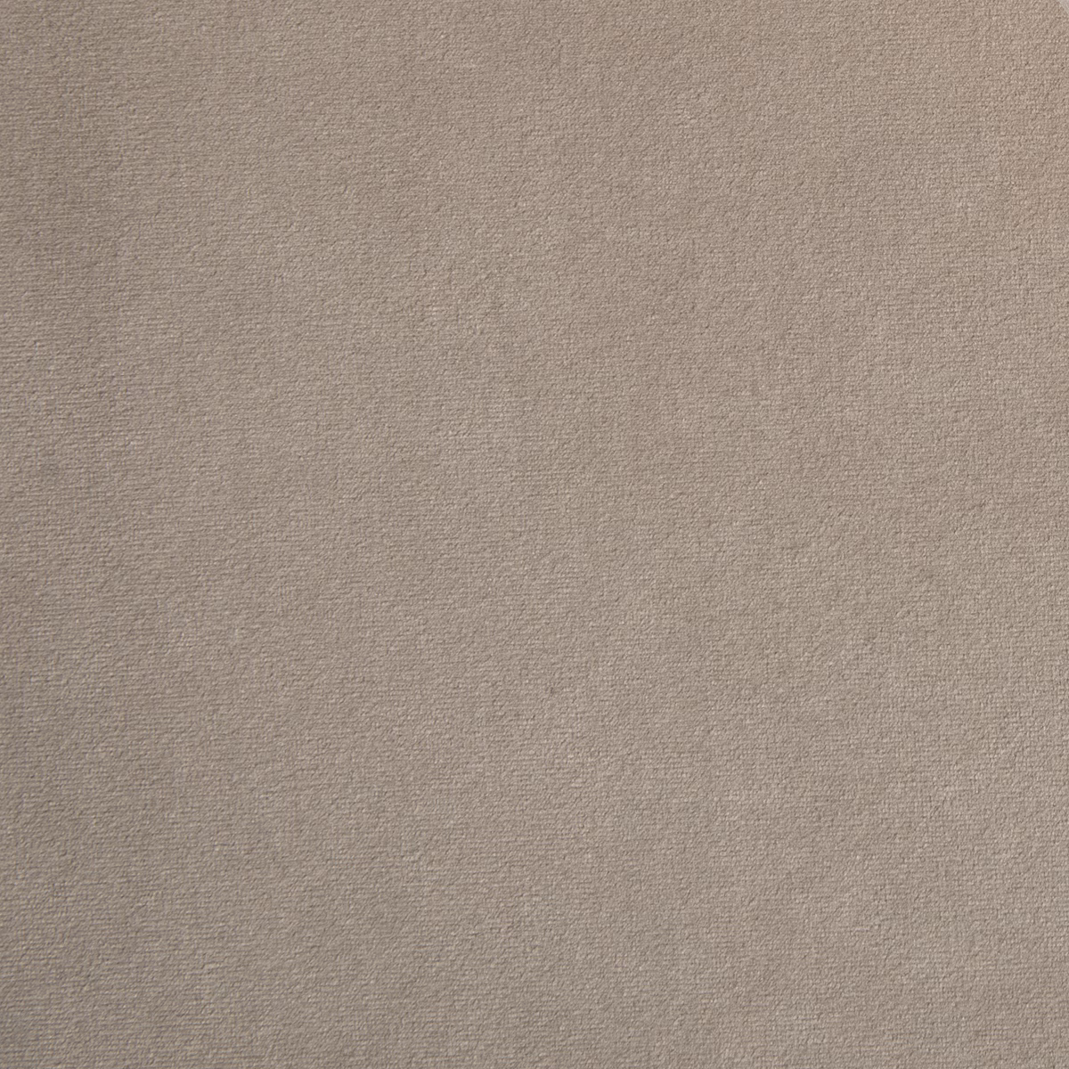 Madison Pashmina fabric
