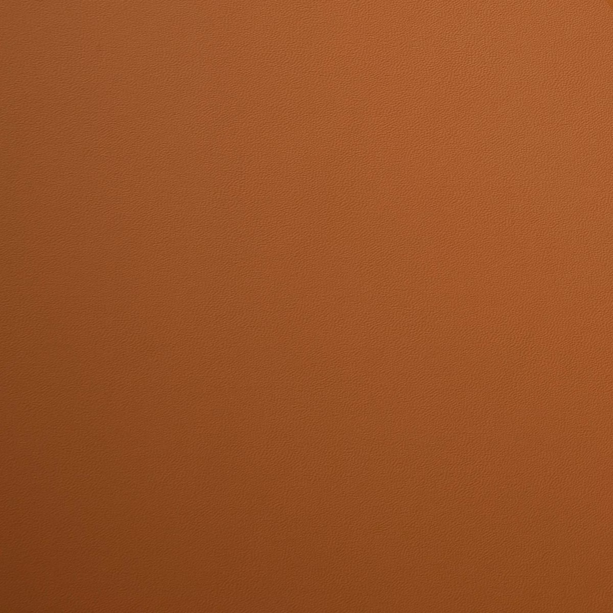 Modena Hawk fabric