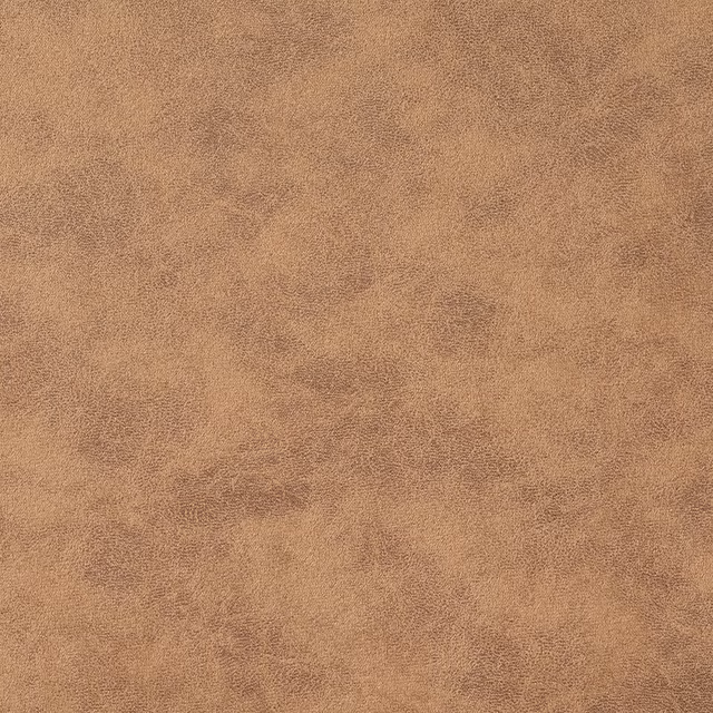 Vintage Champagne fabric