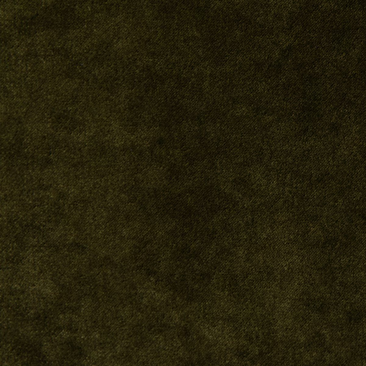 Voyage Amazon fabric