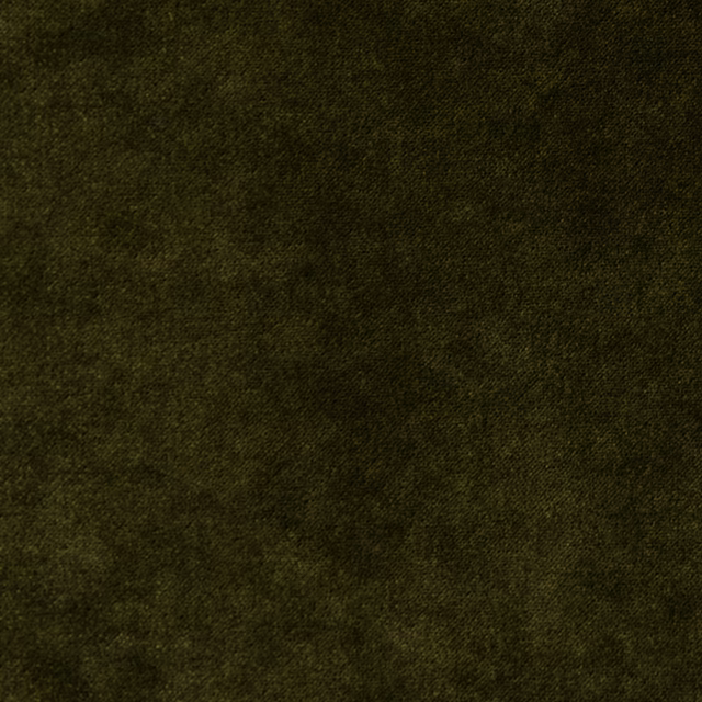 Voyage Amazon fabric