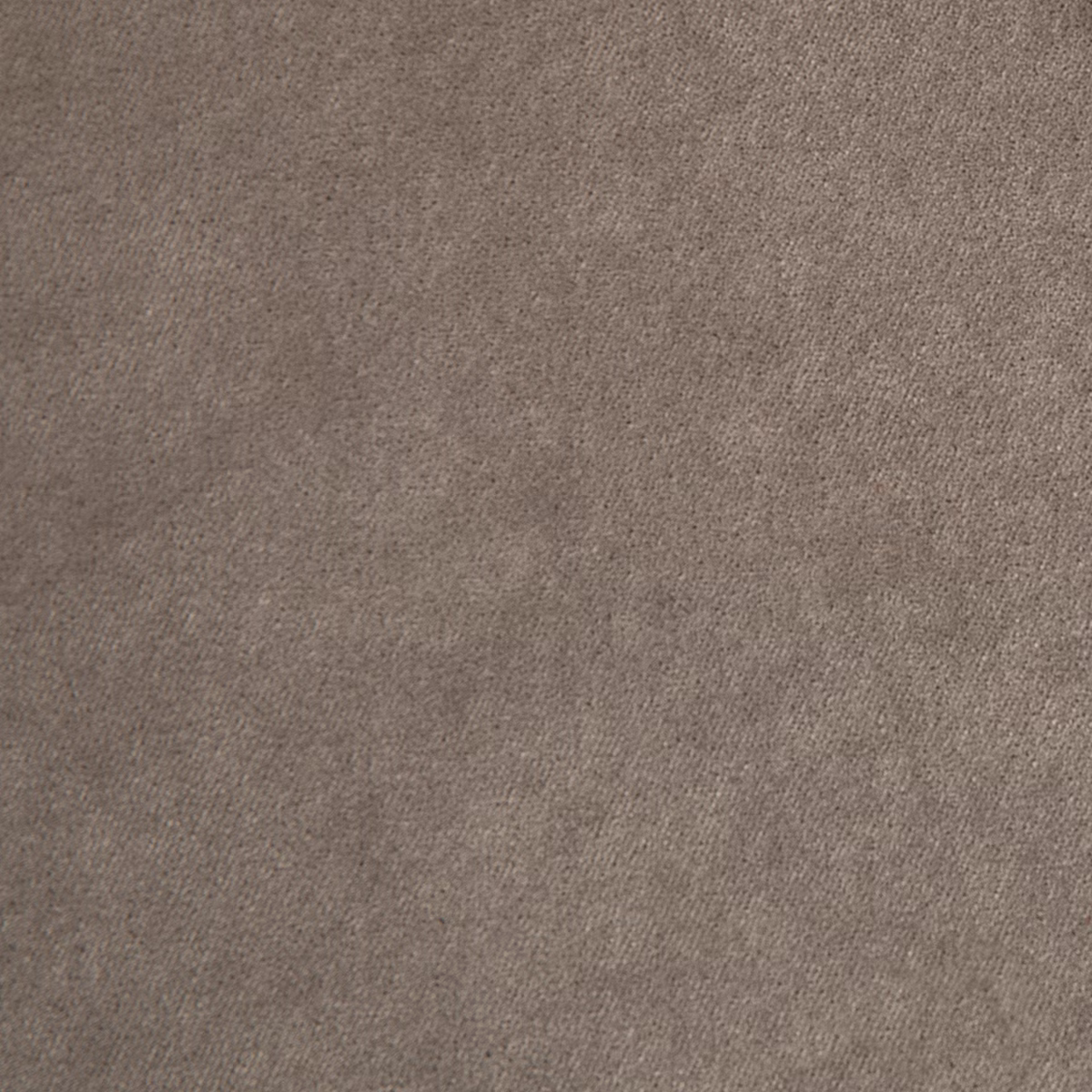 Voyage Kitten fabric
