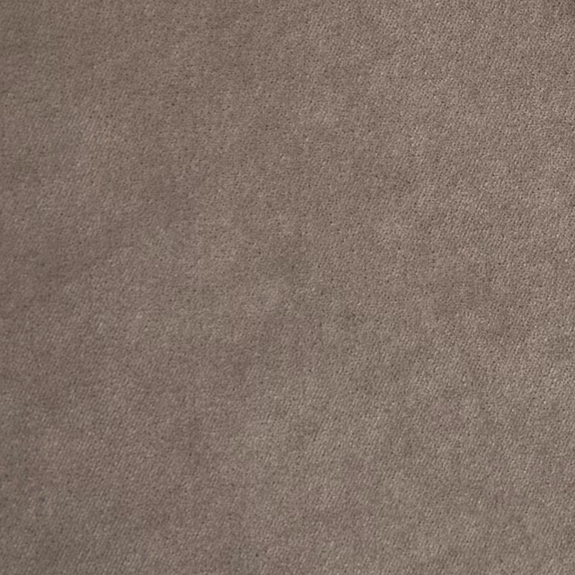 Voyage Kitten fabric