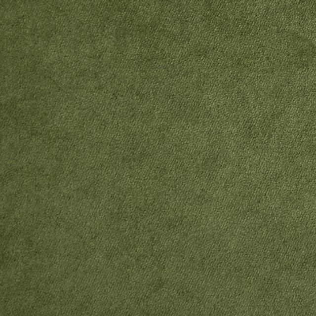 Voyage Olive fabric