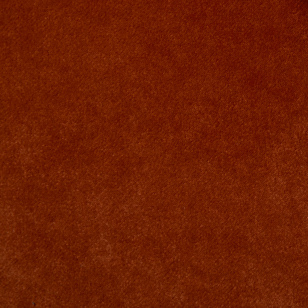 Voyage Tiger fabric