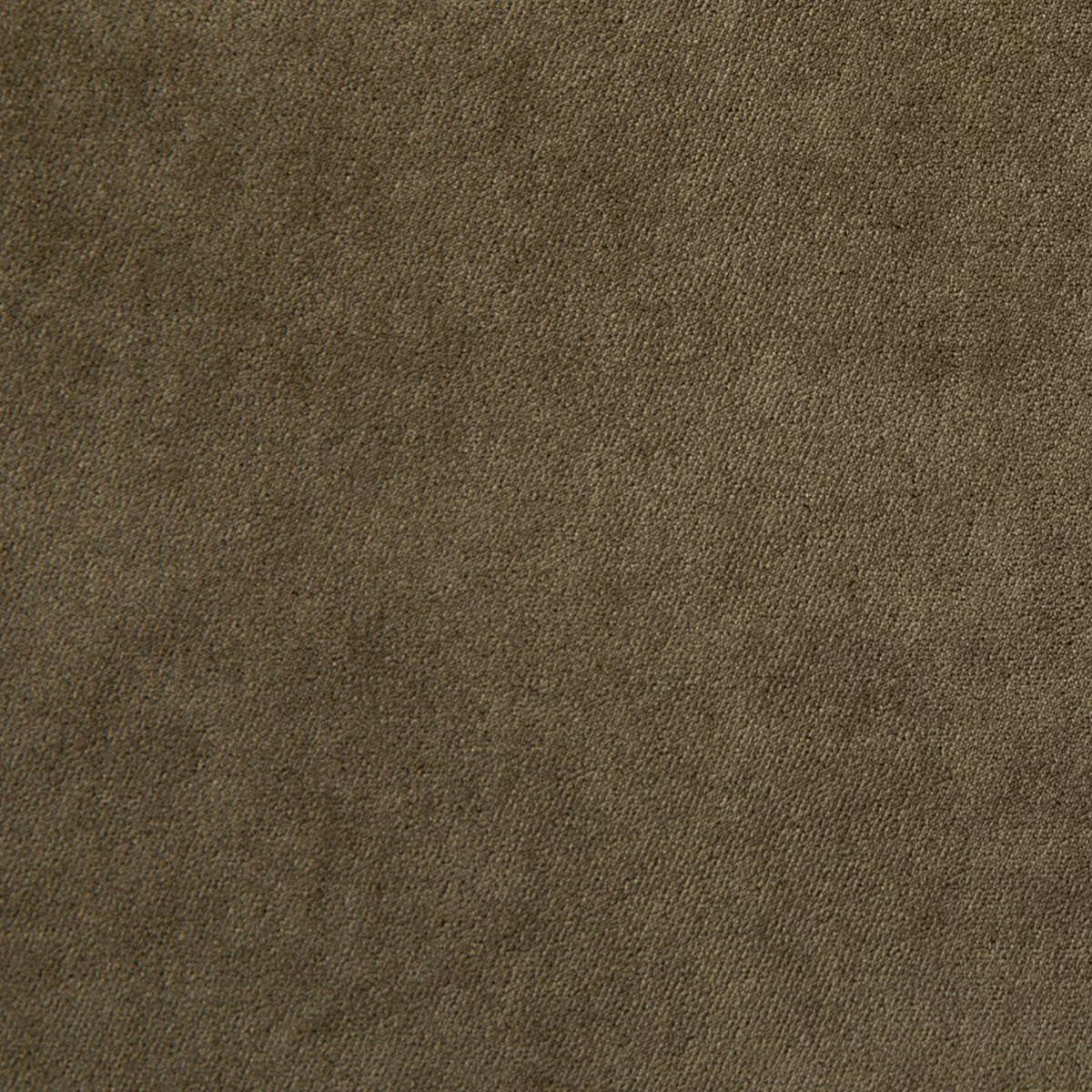 Voyage Toad fabric