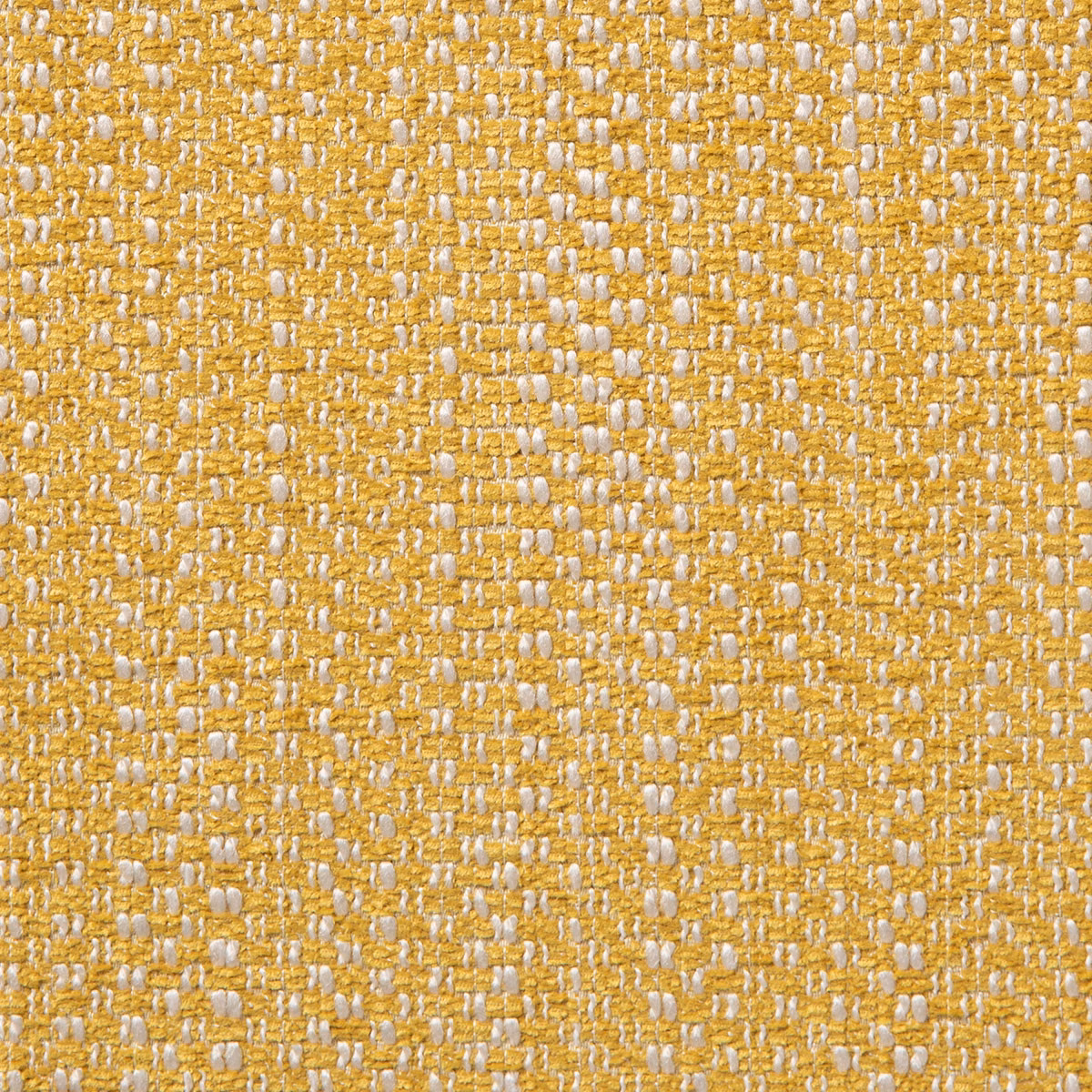 Watson Champion fabric