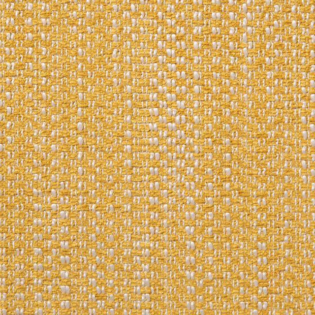 Watson Champion fabric