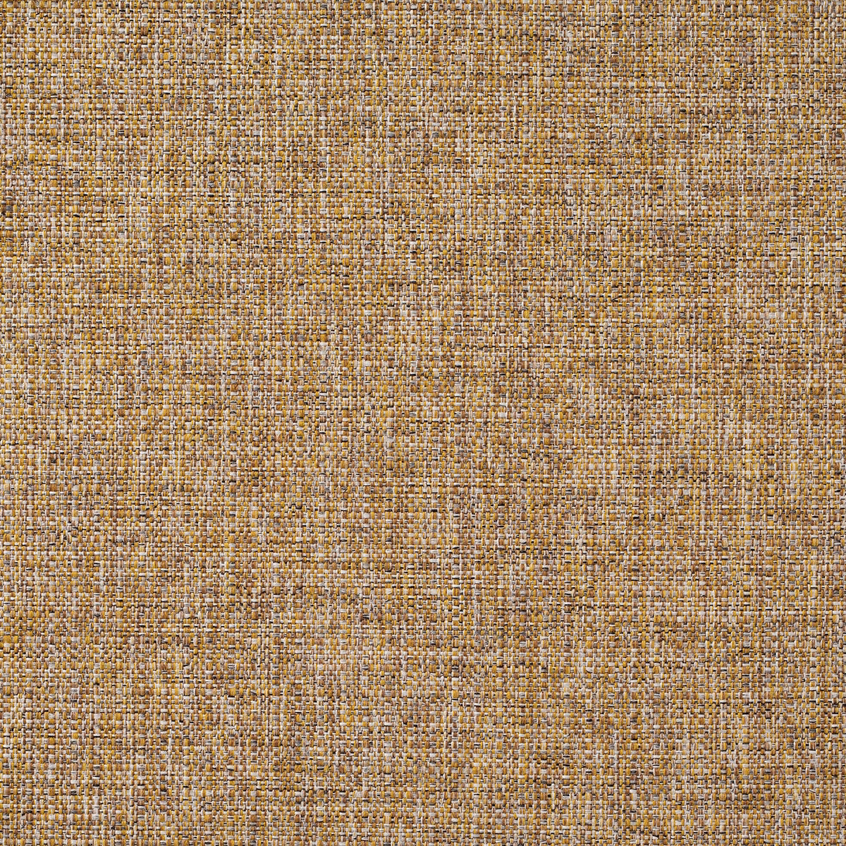 Zonda Jewel fabric