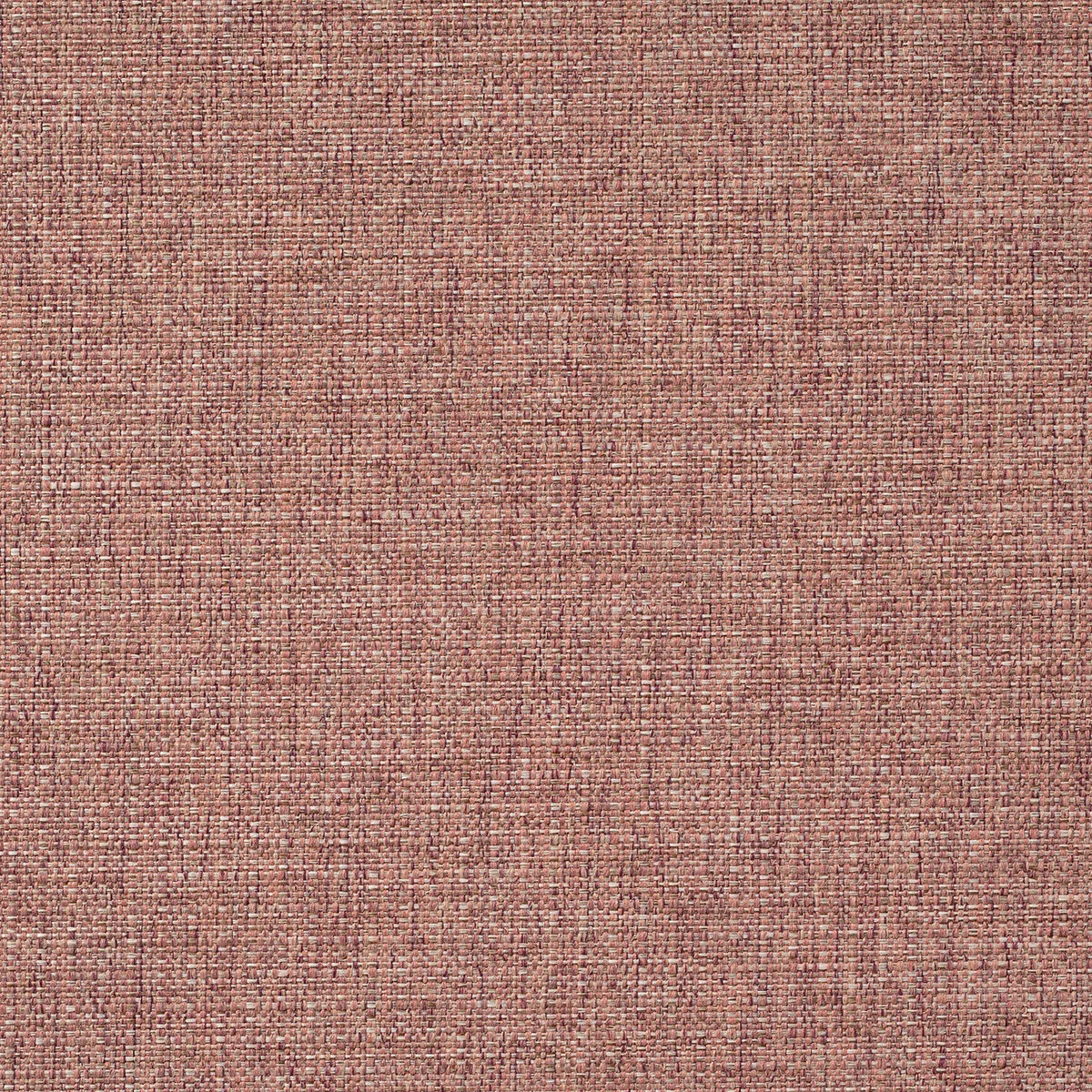 Zonda Maestro fabric