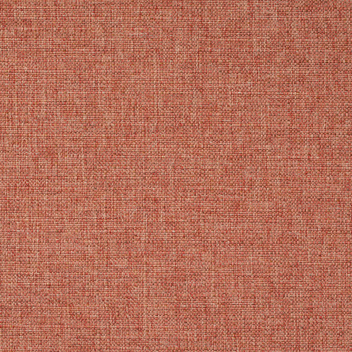 Zonda Rumba fabric