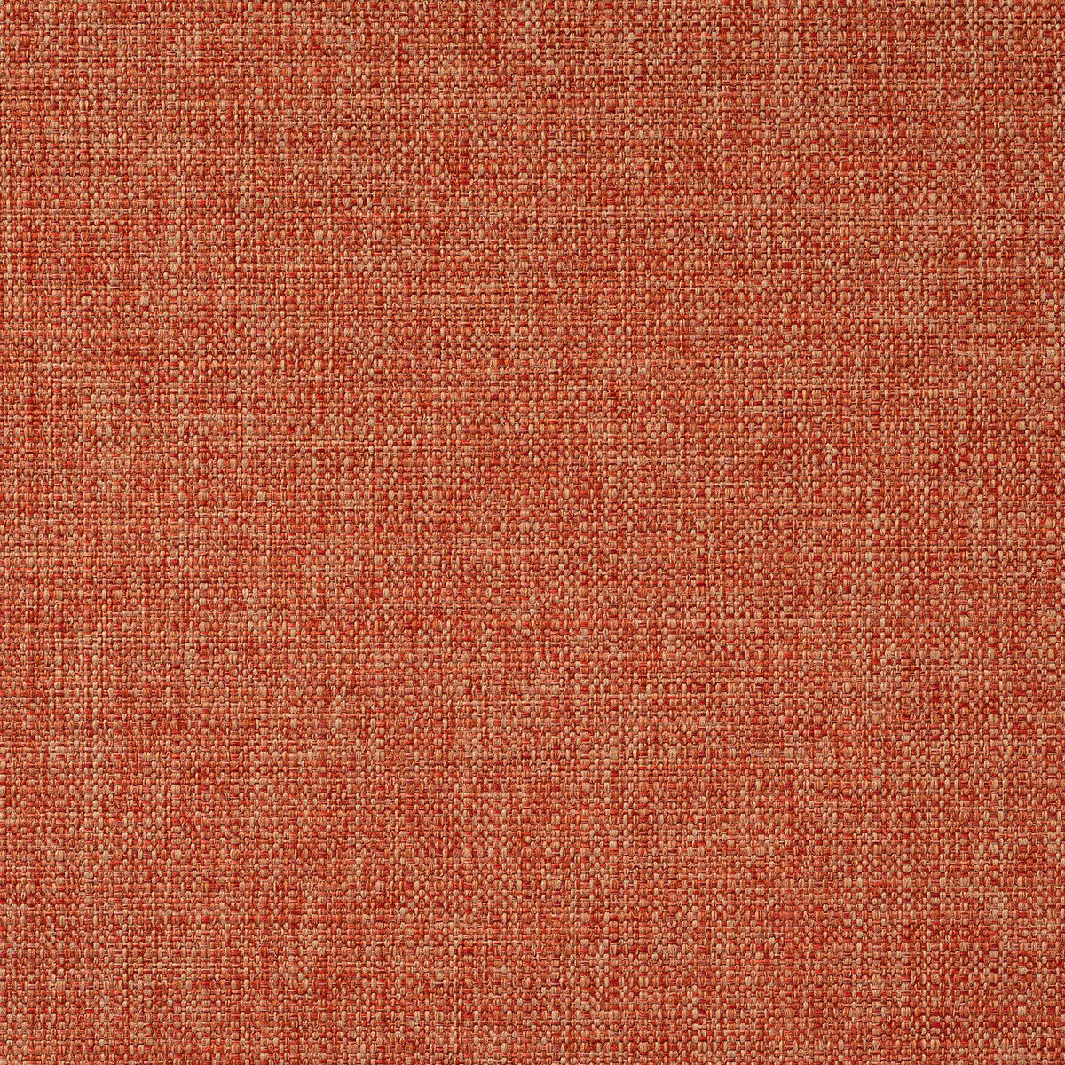 Zonda Sorbet fabric