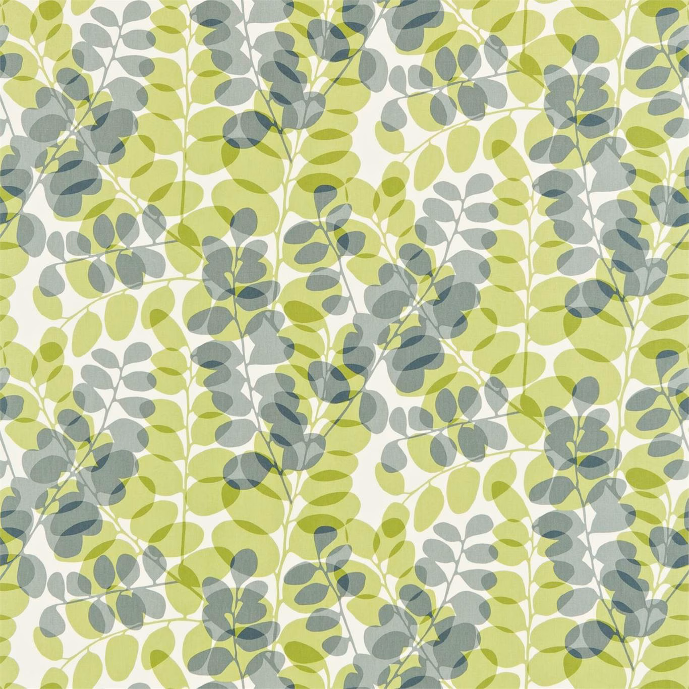 Chalk ground with layered lime and gull-grey leafy stems and oval leaves