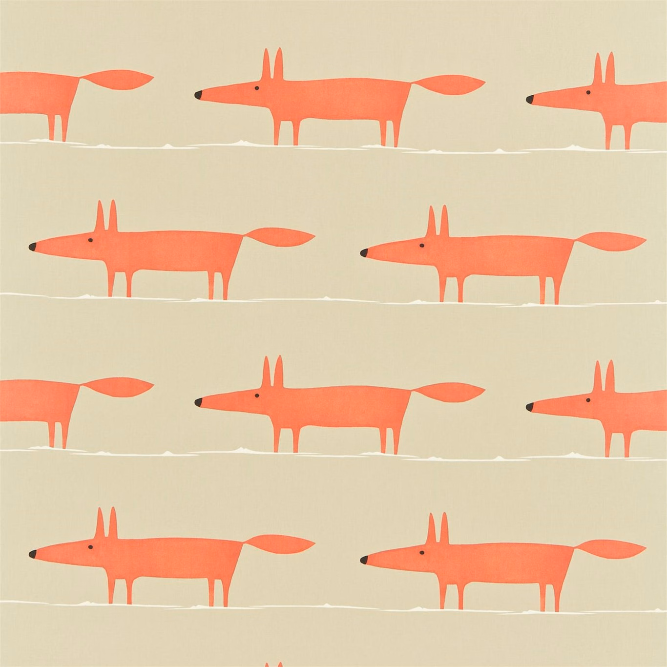 Paprika foxes in rows across a warm neutral ground with white dividing lines