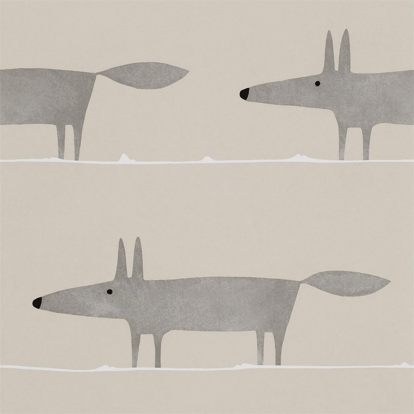 Silver-grey foxes with black noses stride across a warm greige ground