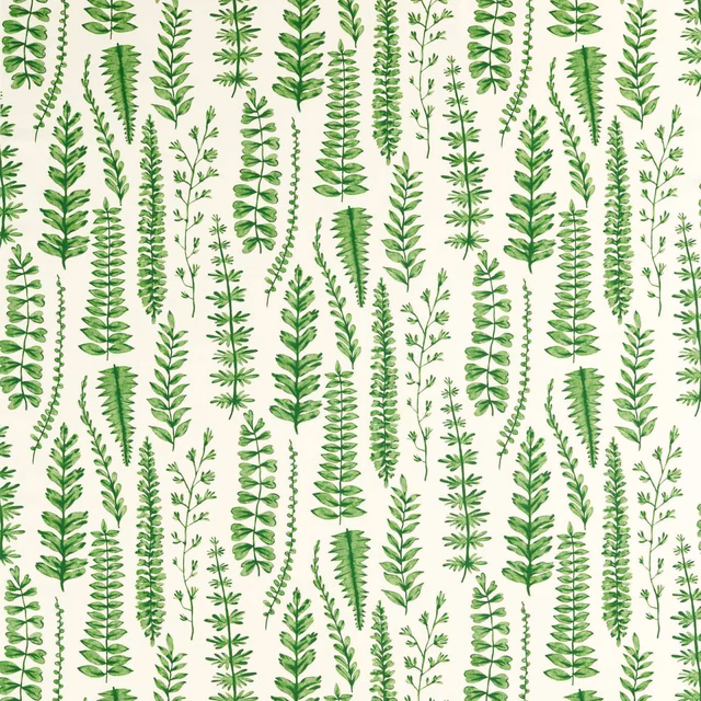 Muted juniper-green fern stems arranged in vertical rows over a creamy ground