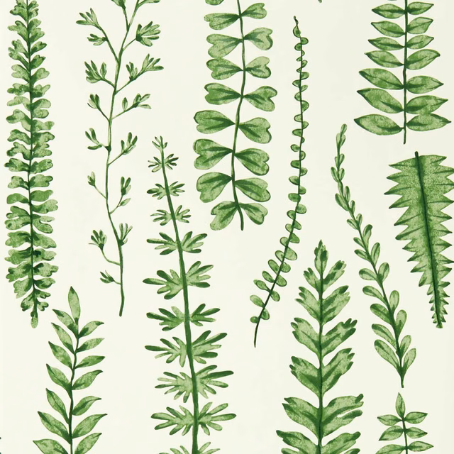 Watercolour-style juniper green fern fronds scattered across a pale ivory wallpaper ground