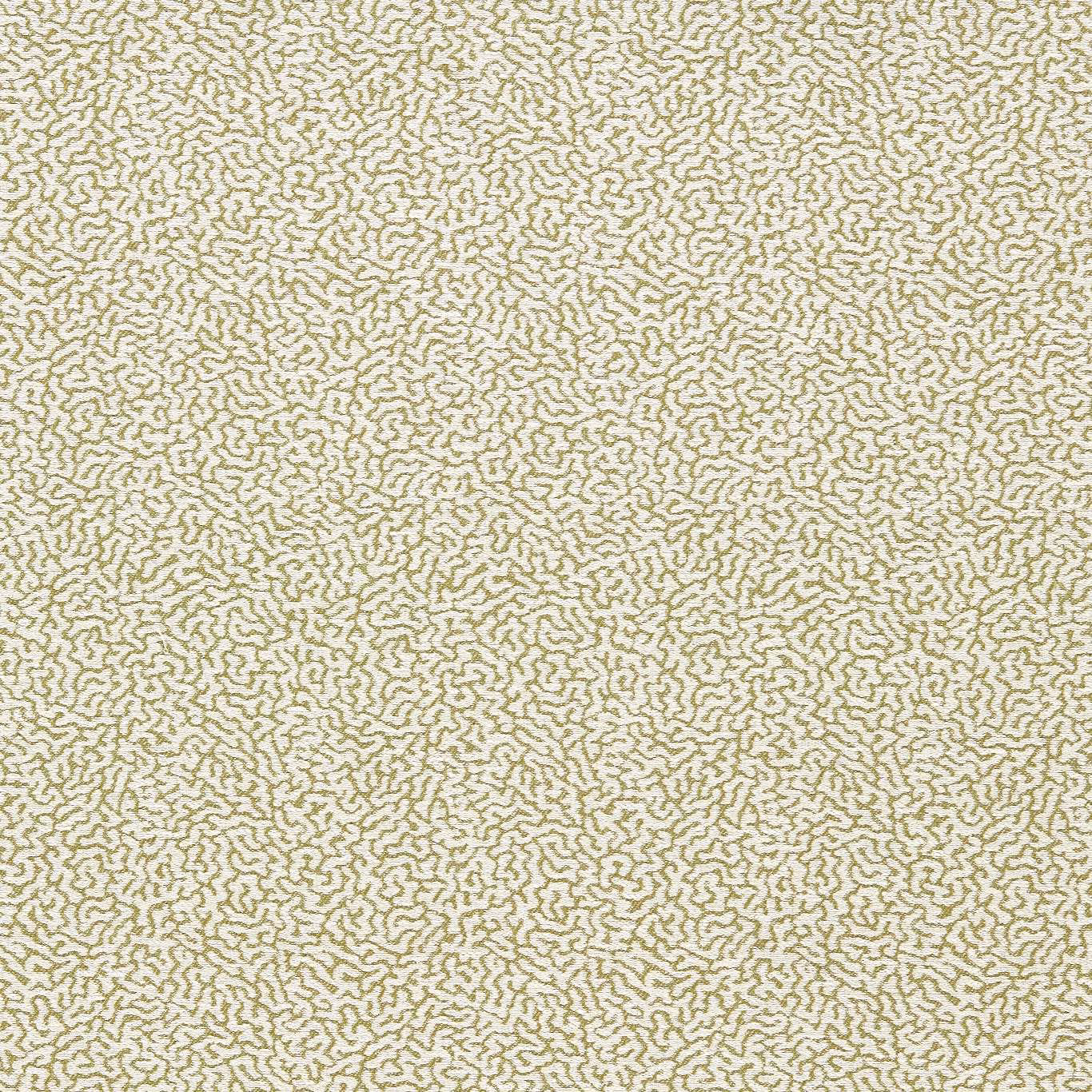 Muted duckweed-green squiggle weave on a warm cream fabric ground