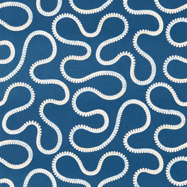 Deep teal wallpaper with cream scalloped looping lines in an organic repeat