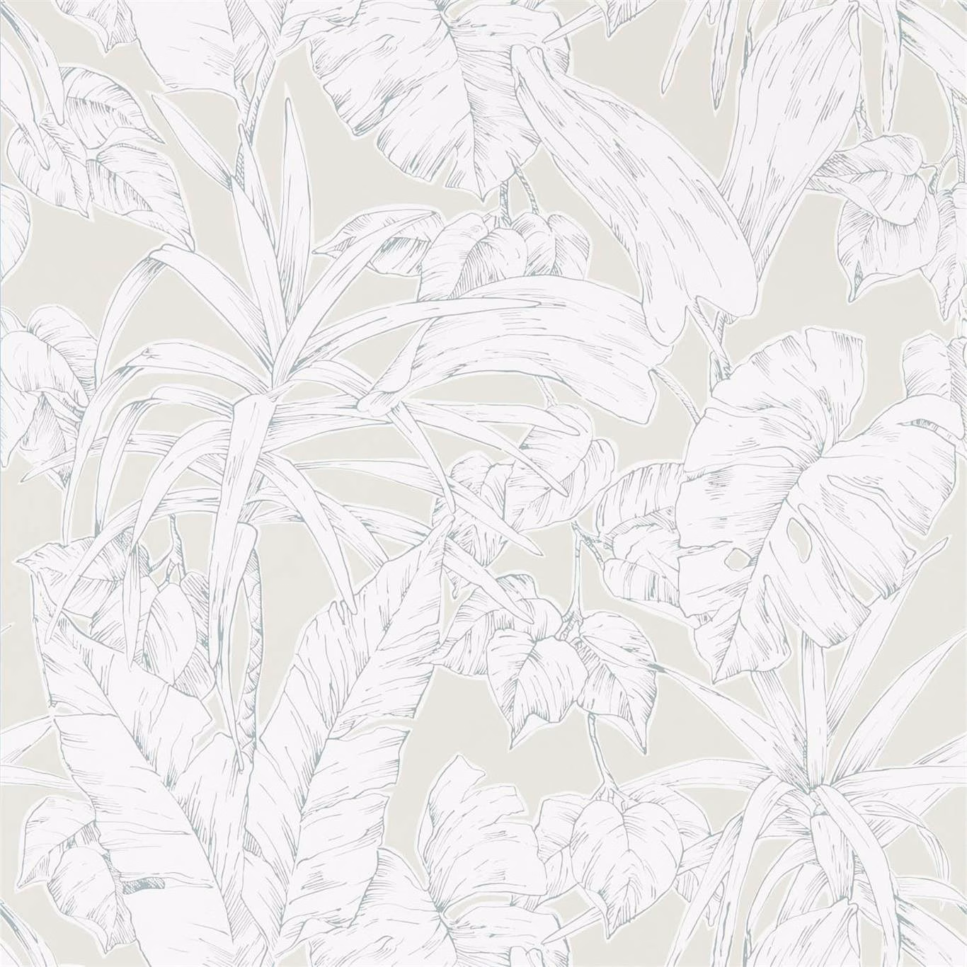 Pale sage wallpaper with oversized white outlined palm and banana leaves