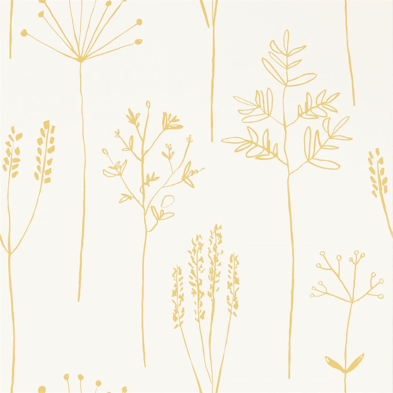 Ivory wallpaper with delicate honey-gold botanical stems, grasses and seed heads