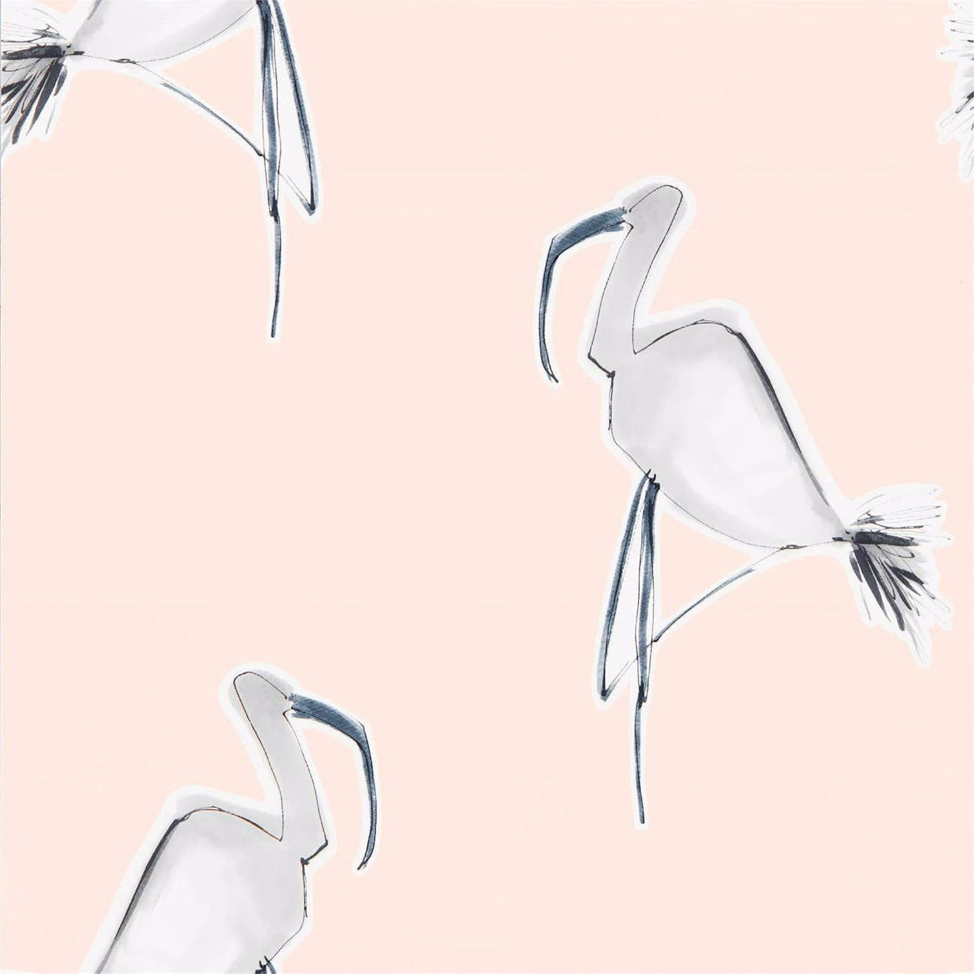 Pale blush wallpaper with sketched grey-and-white long-legged birds