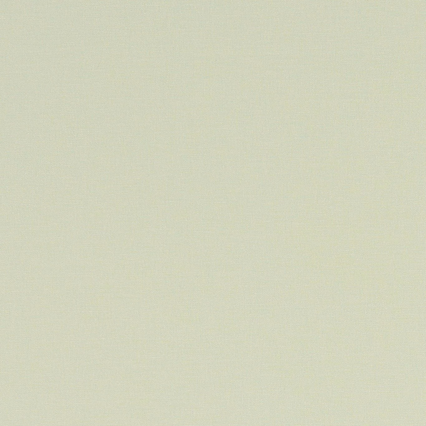 Pale celadon green plain weave showing a fine, softly varied surface texture