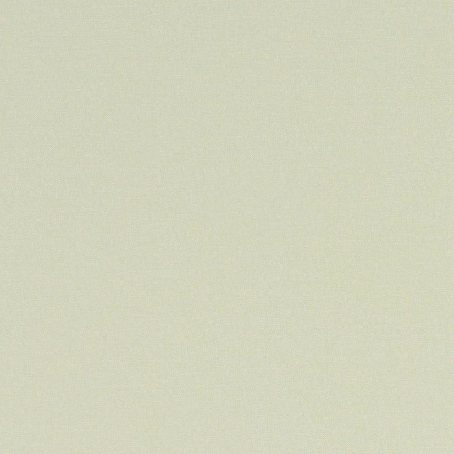 Pale celadon green plain weave showing a fine, softly varied surface texture