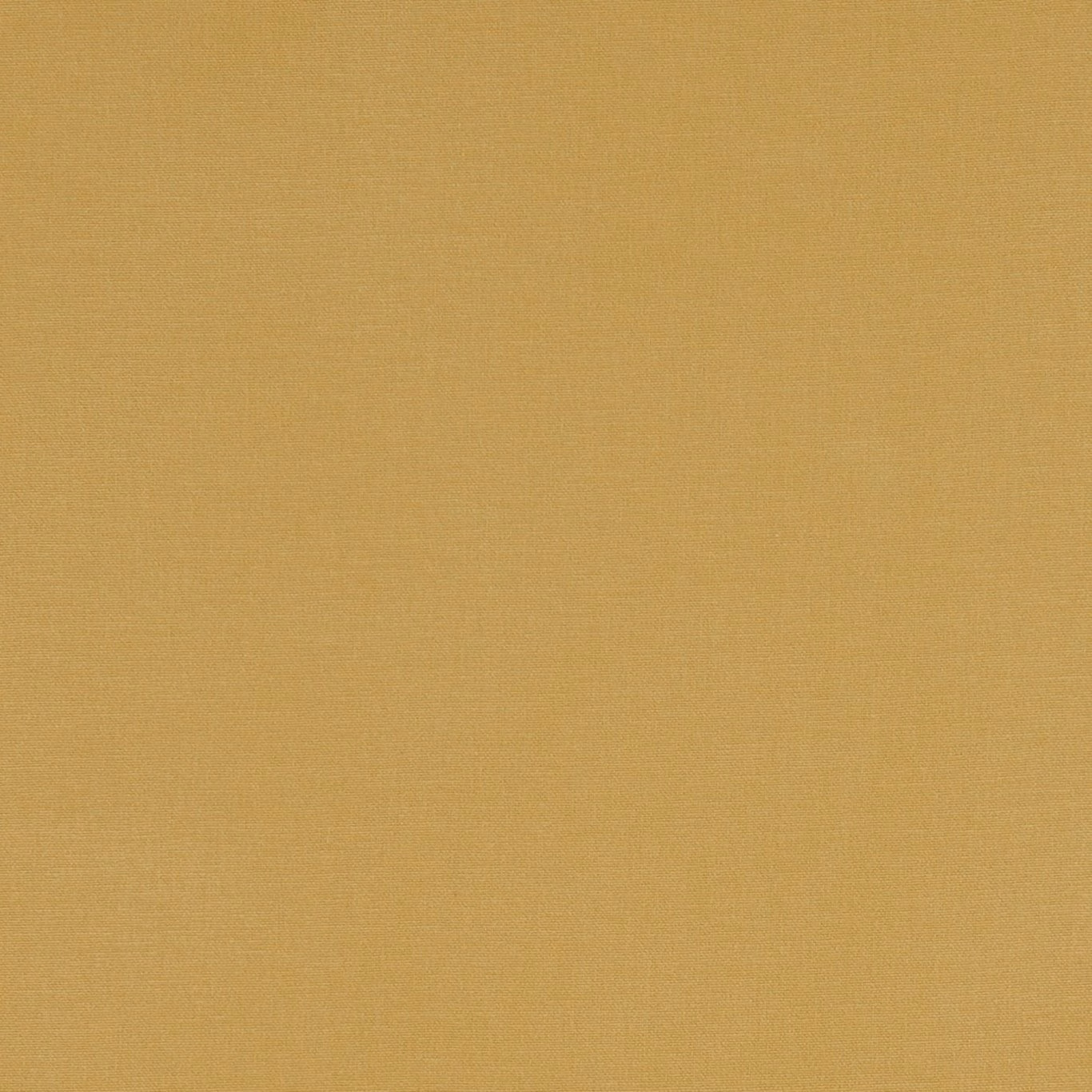 Close-up of warm chartreuse-gold plain weave with subtle crosswise texture