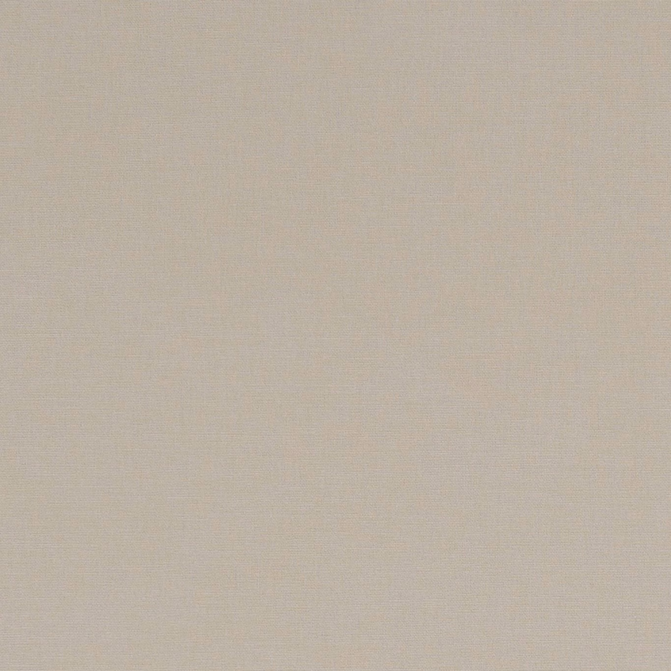 Pale flax-beige plain weave showing fine, softly textured tonal grain