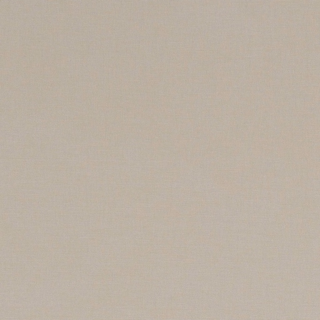 Pale flax-beige plain weave showing fine, softly textured tonal grain