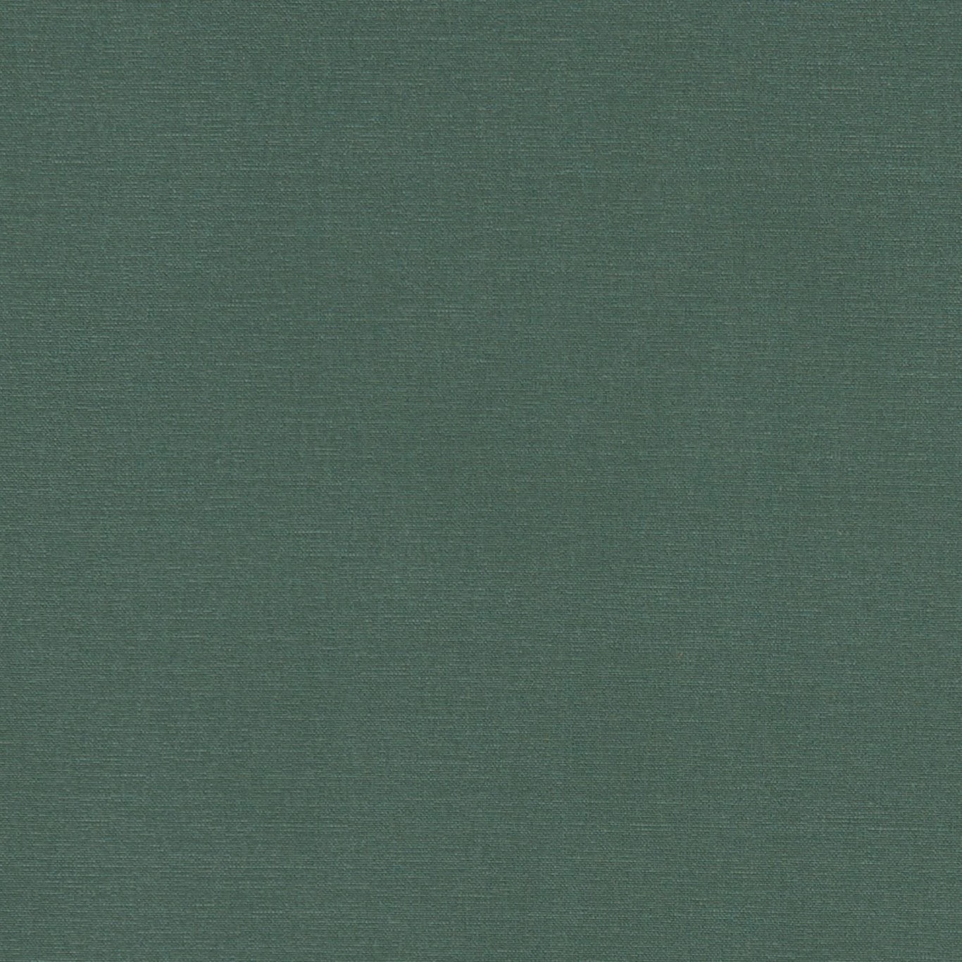 Muted forest green plain weave with a fine, even crosshatched texture
