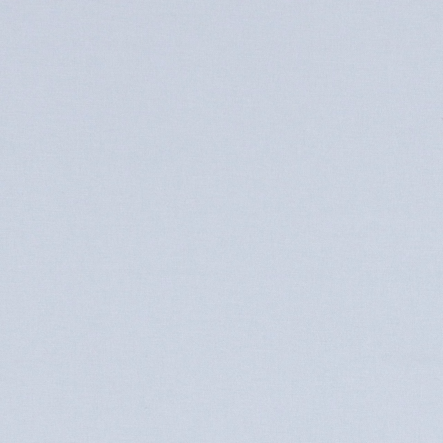 Pale ice-blue plain weave showing a fine, softly textured textile surface