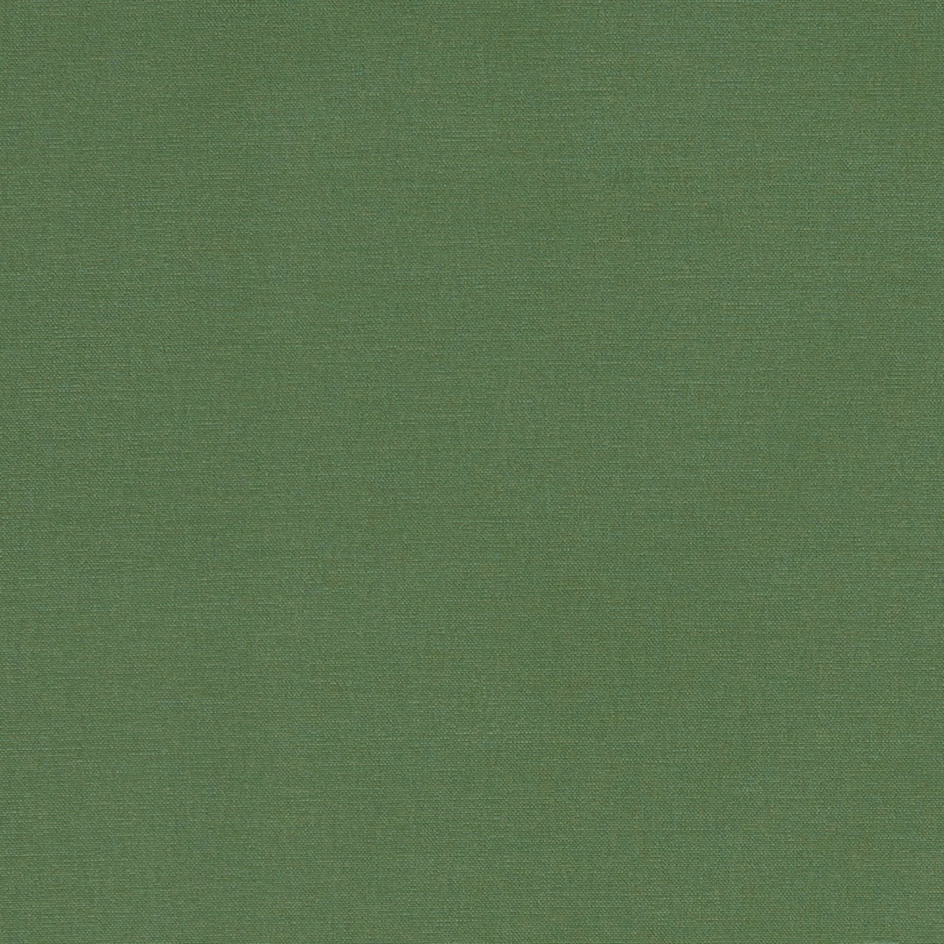 Close-up of muted palm-green plain weave with a fine, even texture