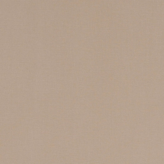 Warm sandy beige plain weave showing a subtle fine crosshatched textile texture