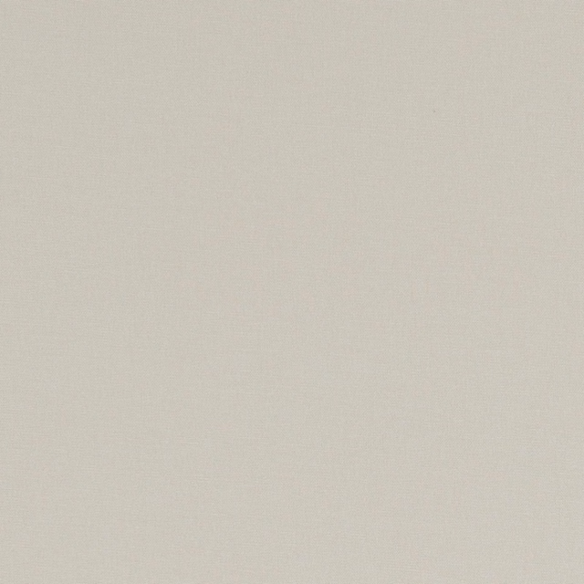 Pale warm greige fabric with a subtle fine plain weave and softly matte texture