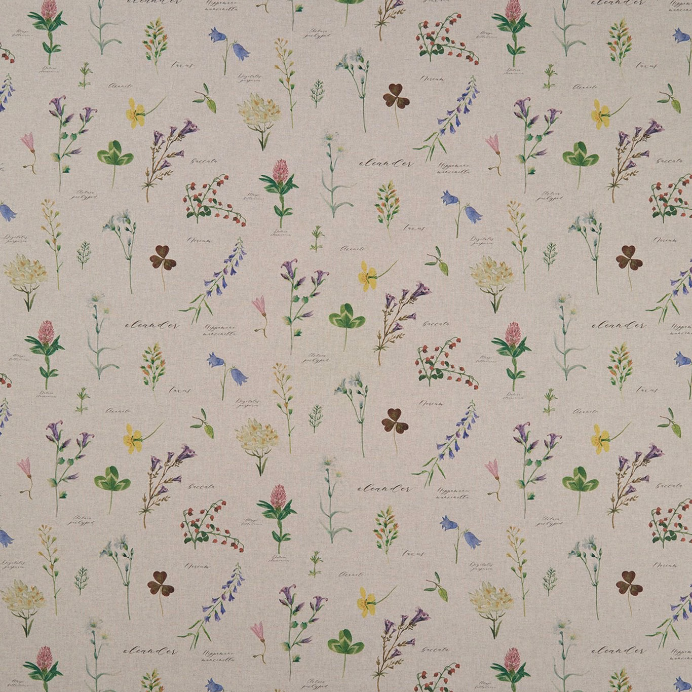 Natural beige botanical fabric with scattered wildflowers, fine weave and handwritten script
