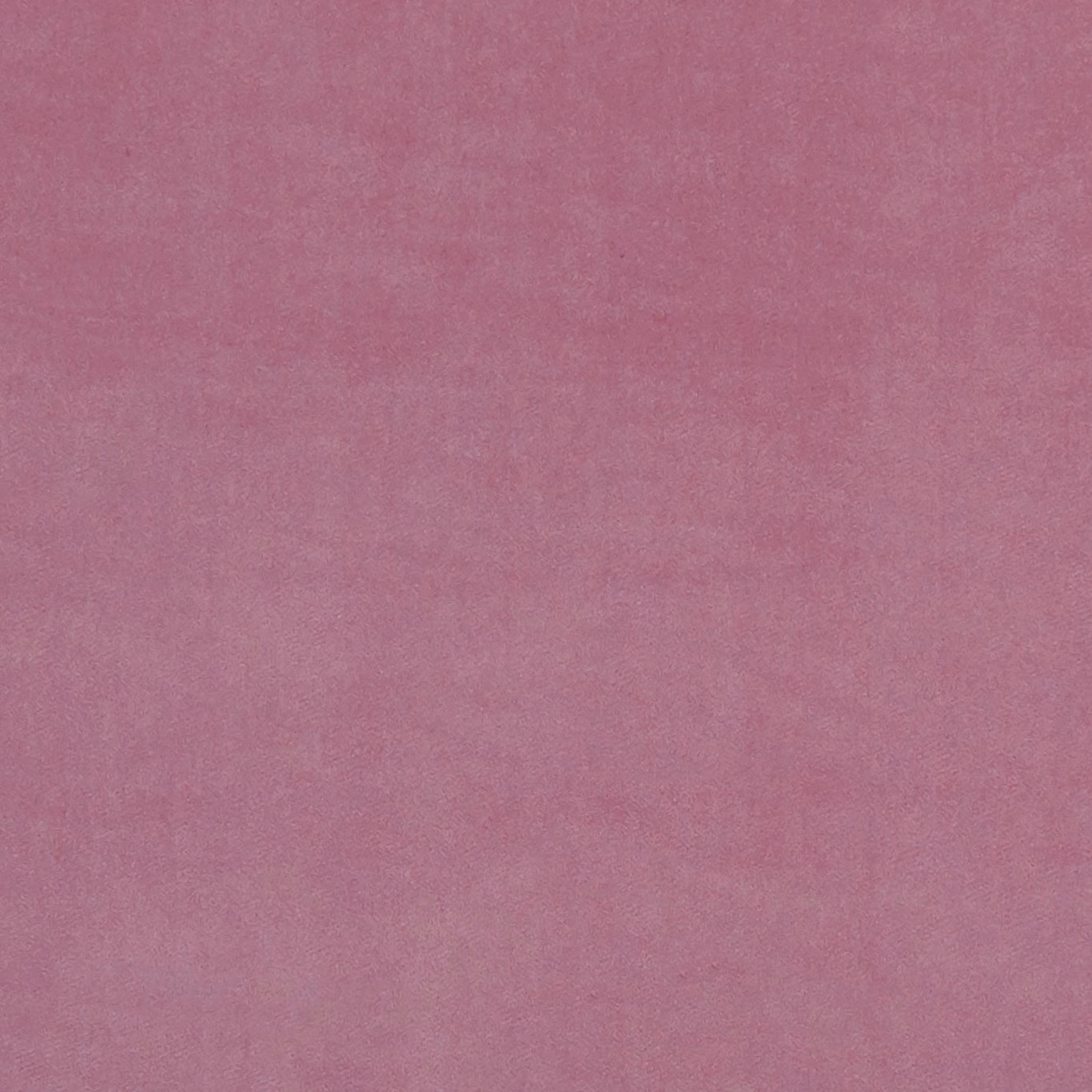 Dusty peony-pink fabric with a softly textured, tonal plain surface