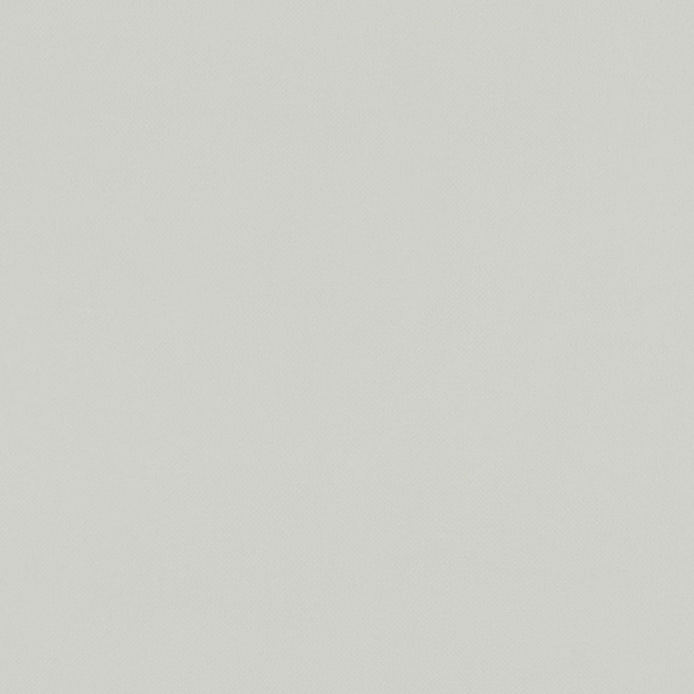 Cool silver-grey plain weave with a fine, softly mottled surface