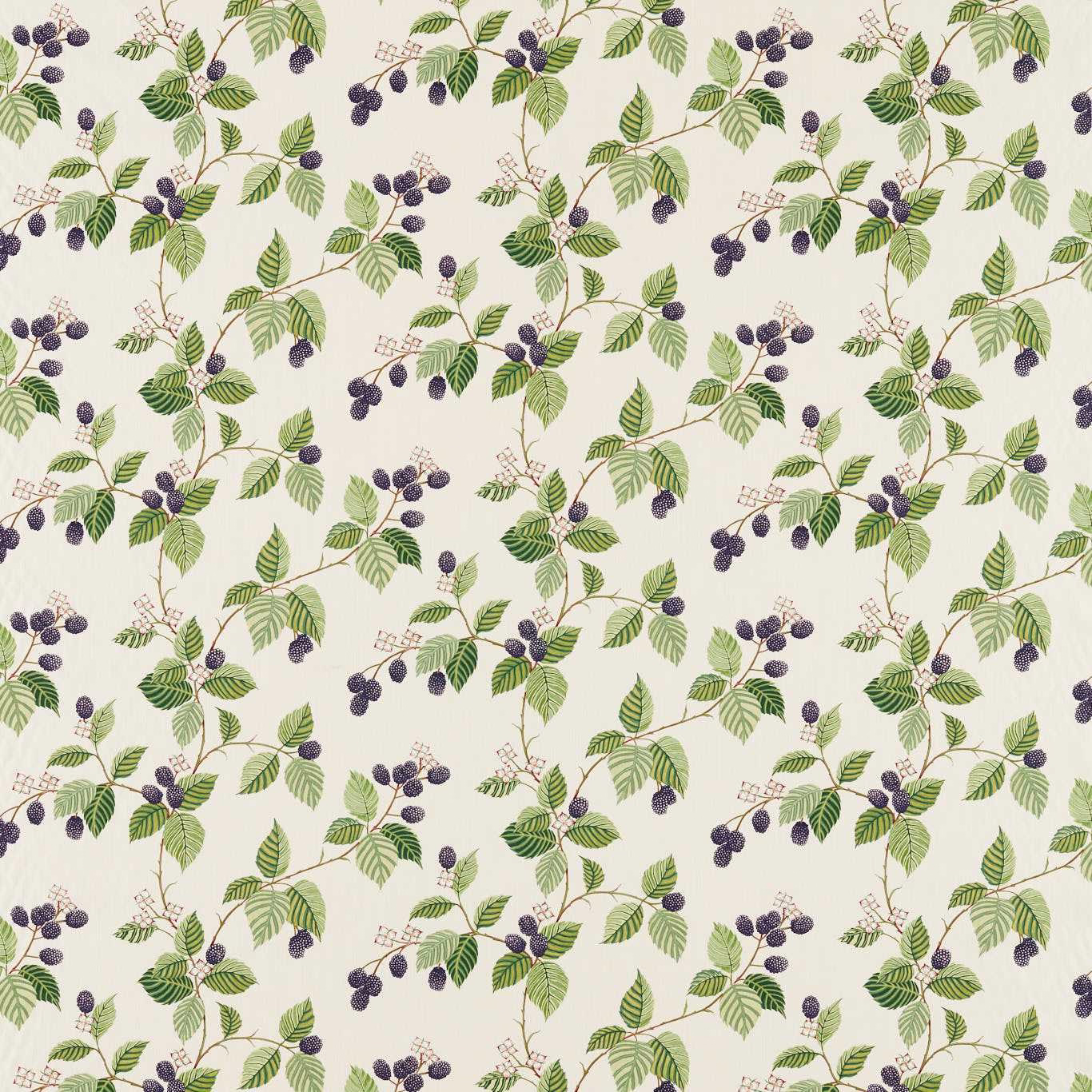 Ivory fabric swatch with trailing green leaves and deep plum blackberry clusters