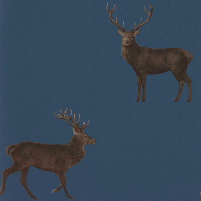Deep indigo wallpaper with two detailed brown stags and branching antlers