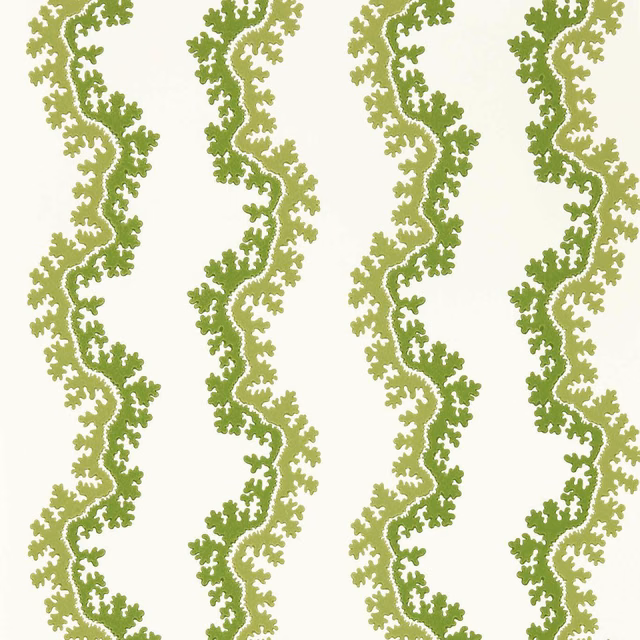 Cream wallpaper with alternating olive-green leafy serpentine trails