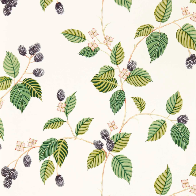 Cream wallpaper with blackberry clusters, striped green leaves and pale pink blossoms